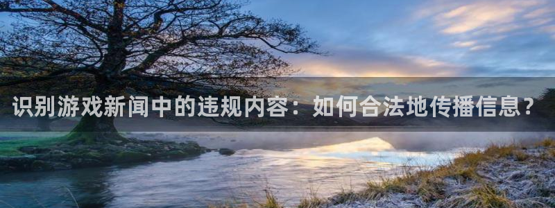 蓝冠娱乐平台官网入口：识别游戏新闻中的违规内容：如何合法地传
