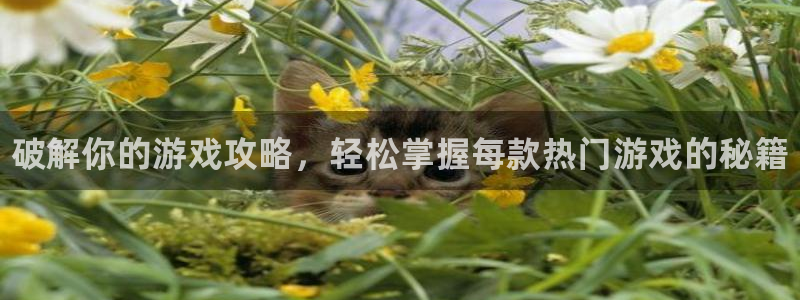 蓝冠娱乐4招商：破解你的游戏攻略，轻松掌握每款热门游戏的秘籍