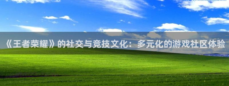 蓝冠娱乐是什么：《王者荣耀》的社交与竞技文化：多元化的游戏社