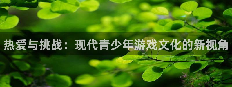 蓝冠娱乐注册地址：热爱与挑战：现代青少年游戏文化的新视角