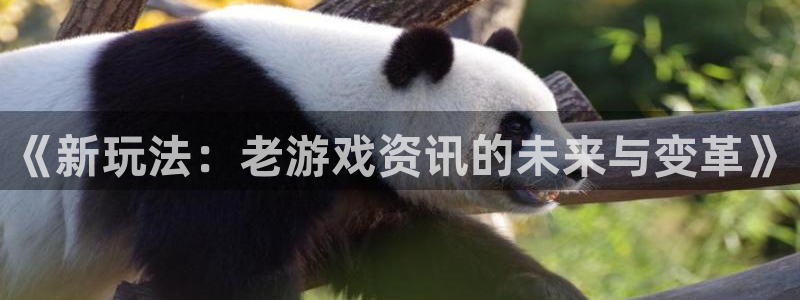 蓝冠娱乐登陆测速：《新玩法：老游戏资讯的未来与变革》