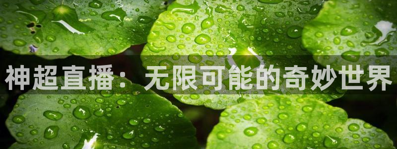极速体育直播app下载