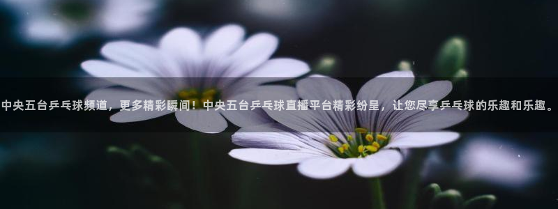 英超直播吧极速体育