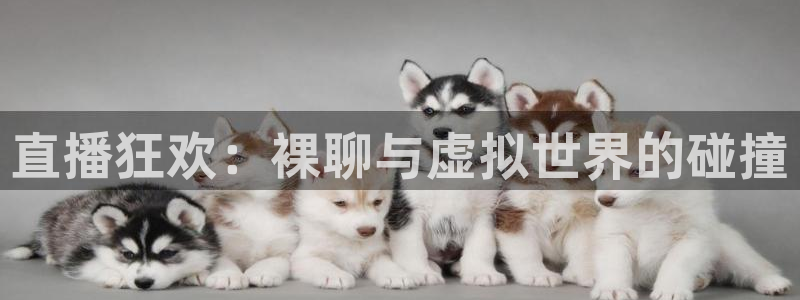 极速体育nba 直播