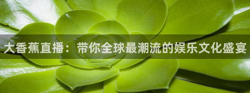 极速体育免费直播在线观看