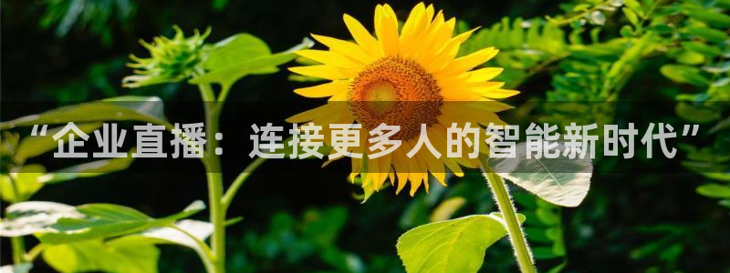 体育吧在线极速直播：“企业直播：连接更多人的智能新时代”